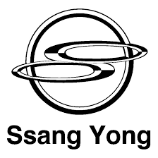 Ssangyong Car Battery